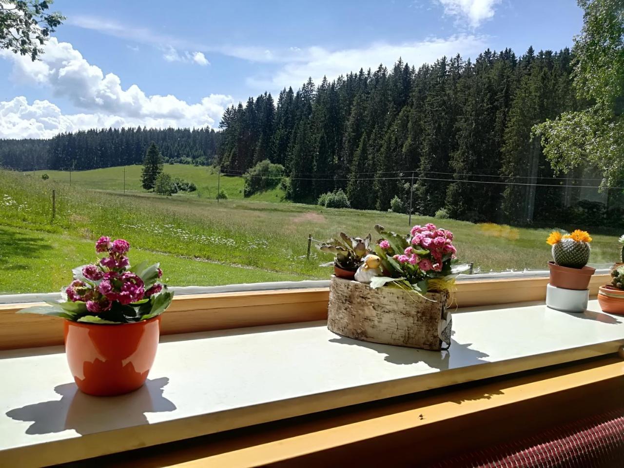 Hotel Kaltenbach Schoenwald im Schwarzwald Exterior photo